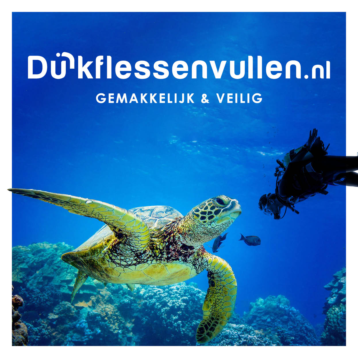 11088 Dive & Air / Duikflessenvullen.nl